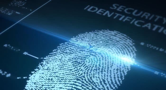 travel europe criminal record